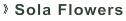 sola flowers factory manufacturer